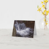 Splash Karte (Gelbe Blume)