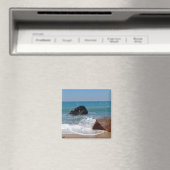 Splash Magnet (In Situ (Geschirrspüler))