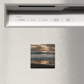 Splash Magnet (In Situ (Geschirrspüler))