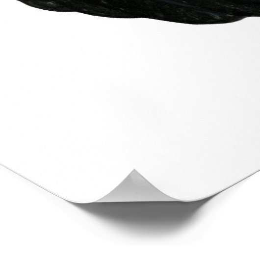 Splash Muffed Tumbler Taube 2 Poster (Ecke)