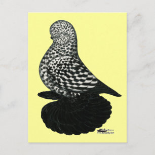 Splash Muffed Tumbler Taube 2 Postkarte