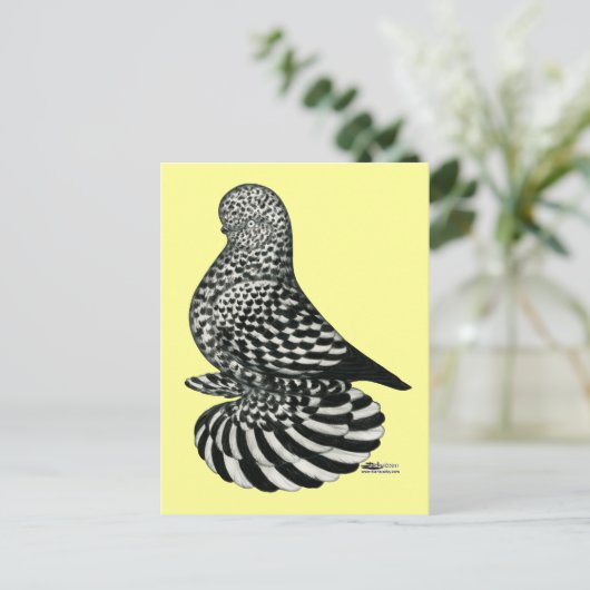 Splash Muffed Tumbler Taube Postkarte (Stehend Vorderseite)