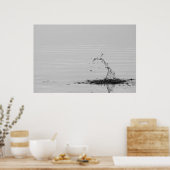 Splash Poster (Küche)