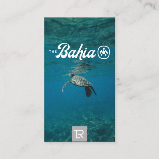 Splash Sea Turtle Logo und Aquamarine Visitenkarte (Vorderseite)