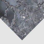 Splash Seidenpapier (Ausschnitt)