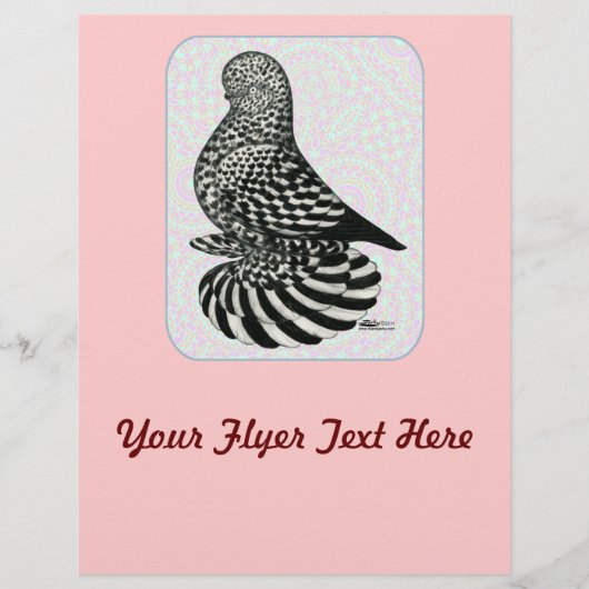 Splash Tumbler Colors Flyer (Vorne)