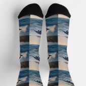 Splashing Leaping Dolphin: Ein Tanz der Freude im  Socken (Oben)