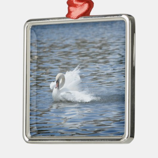 Splashing Swan am Morton See Ornament Aus Metall (Links)