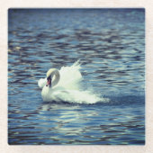 Splashing Swan Glass Untersetzer (Vorderseite)