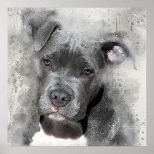 Splatter Effect Watercolor Painting Pit Bull Dog Poster