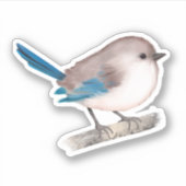 Splendid Fairy Wren Bird auf Branch-Sticker Aufkleber (Vorderseite)