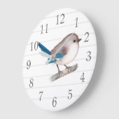 Splendid Fairy Wren Bird auf der Zweigstelle Große Wanduhr (Winkel)