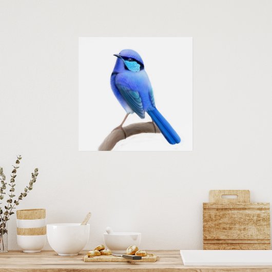 Splendid Fairy Wren Bird Print Poster (Küche)
