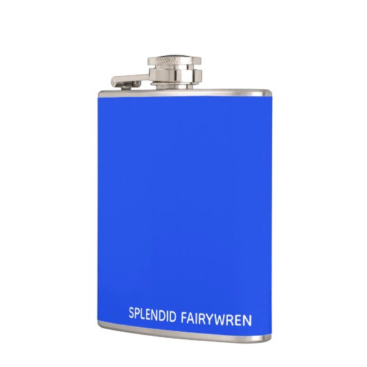 Splendid Fairywren Blue Color Name Flachmann (Links)