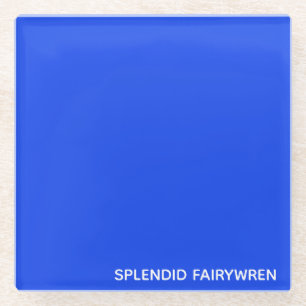 Splendid Fairywren Blue Color Name Glasuntersetzer