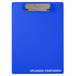 Splendid Fairywren Blue Color Name Klemmbrett