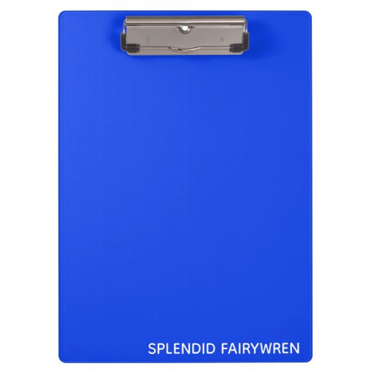 Splendid Fairywren Blue Color Name Klemmbrett (Vorderseite)