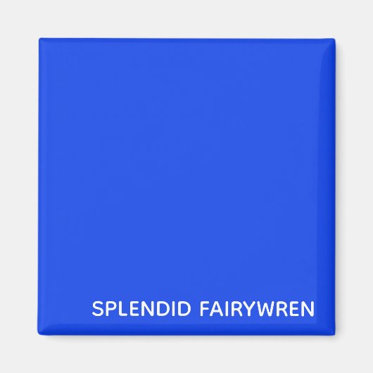 Splendid Fairywren Blue Color Name Magnet (Vorne)