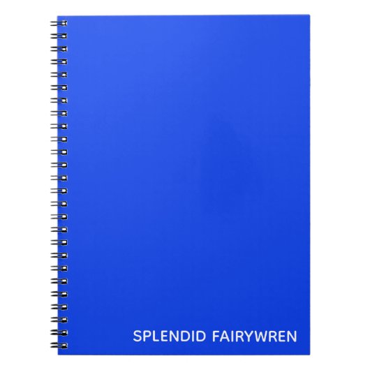 Splendid Fairywren Blue Color Name Notizblock (Vorderseite)