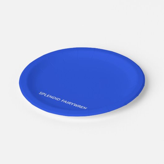 Splendid Fairywren Blue Color Name Pappteller (Schrägansicht)