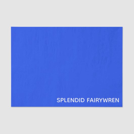 Splendid Fairywren Blue Color Name Seidenpapier (Vorderseite)