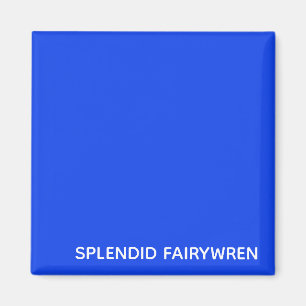 Splendid Fairywren Blue Colour Name Magnet