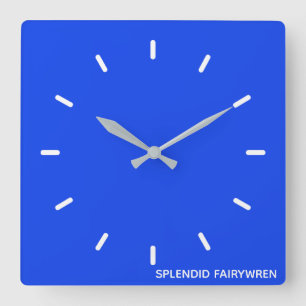 Splendid Fairywren Blue Colour Name Quadratische Wanduhr