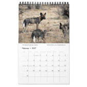SPLENDID WILD CREATURES - KENYA-Kalender (Single P Kalender (Feb 2027)
