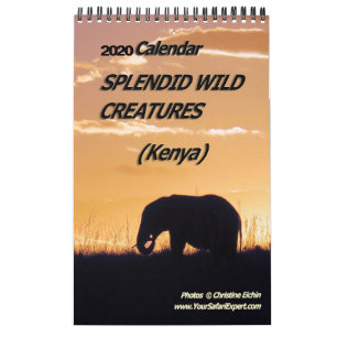SPLENDID WILD CREATURES - KENYA-Kalender (Single P Kalender