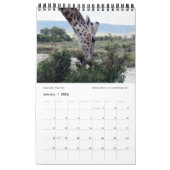 SPLENDID WILD CREATURES - KENYA-Kalender (Single P Kalender (Jan 2026)