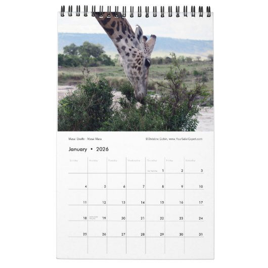 SPLENDID WILD CREATURES - KENYA-Kalender (Single P Kalender (Jan 2026)