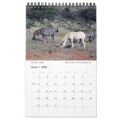 SPLENDID WILD CREATURES - KENYA-Kalender (Single P Kalender (Mär 2026)