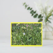 "Splendor in the Grass" Postkarte (Stehend Vorderseite)