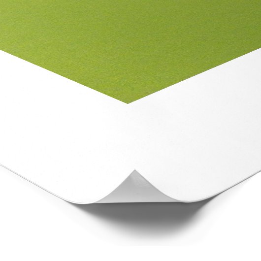 Splish Splash Poster 3 (Ecke)