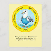 Splish Splash Spaß Seagull Sommer Hawaii Grüße Postkarte (Vorderseite)