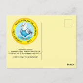 Splish Splash Spaß Seagull Sommer Pool Party Postkarte (Rückseite)