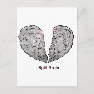 Split Brain Postkarte