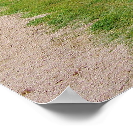 Split-Eisenbahnzaun Poster (Ecke)