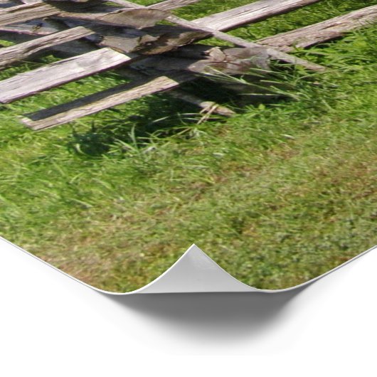 Split-Eisenbahnzaun Poster (Ecke)