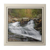 Split fällt auf Sand-Frühling-Run Fliese (Vorderseite)