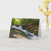 Split fällt auf Sand-Frühling-Run Karte (Gelbe Blume)