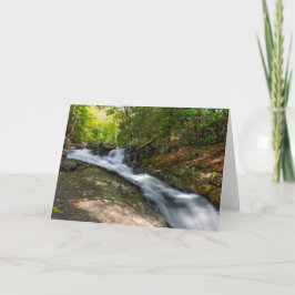 Split fällt auf Sand-Frühling-Run Karte