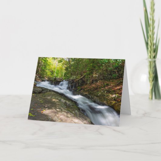 Split fällt auf Sand-Frühling-Run Karte (Vorderseite)