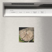 Split Heart Stump Magnete Magnet (In Situ (Geschirrspüler))