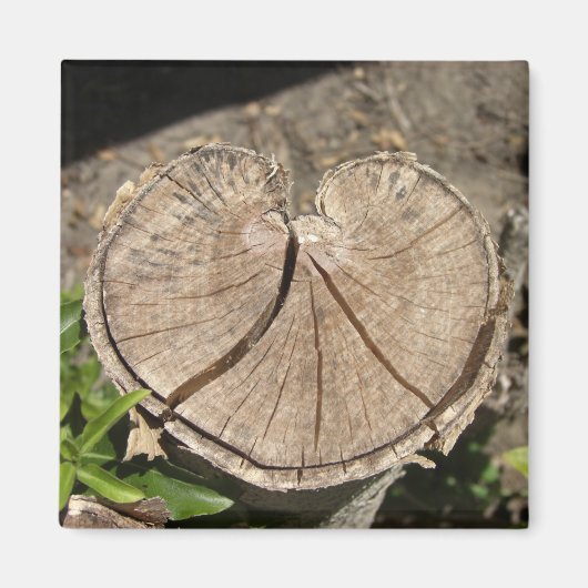 Split Heart Stump Magnete Magnet (Vorne)