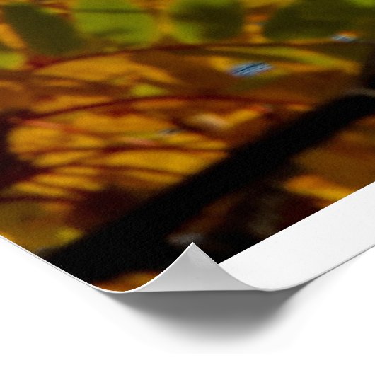 Split Rock Lighthouse im Herbst Poster (Ecke)