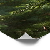 Split Rock Lighthouse Poster (Ecke)