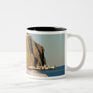 Split Rock Lighthouse State Park am See Zweifarbige Tasse