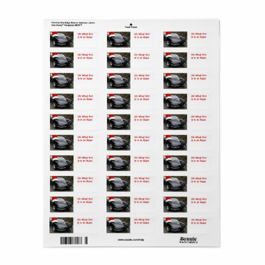 Split Window (Vorne)