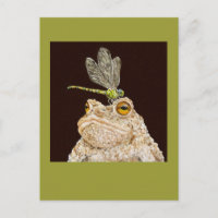 Splitter auf der Postkarte